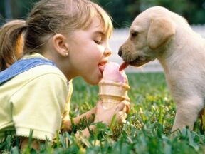 djevojka jede sladoled sa psom i zarazi se parazitima